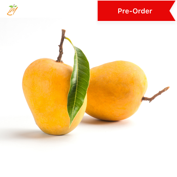alphonso mango